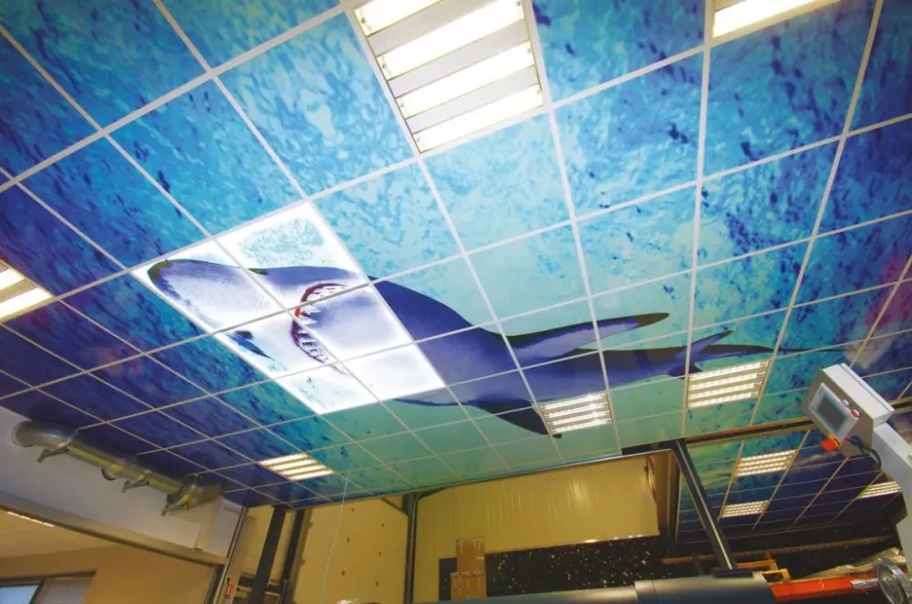 Agencement Cris Graphic à Grenoble (4)webp