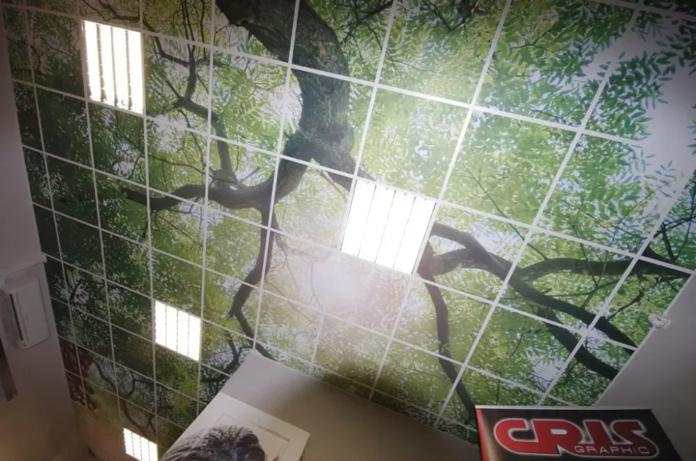 Agencement Cris Graphic à Grenoble (6)webp